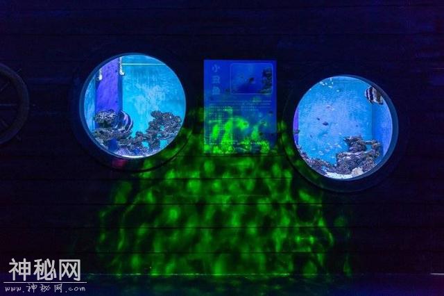 299元！惠州巽寮湾斯维登高级海景房+UFO网红泳池+梦幻海洋馆-43.jpg