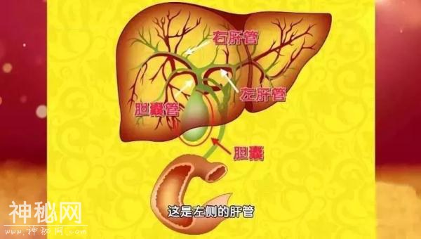 身体4个部位最怕“硬”，越硬越危险！看看你有吗？-5.jpg