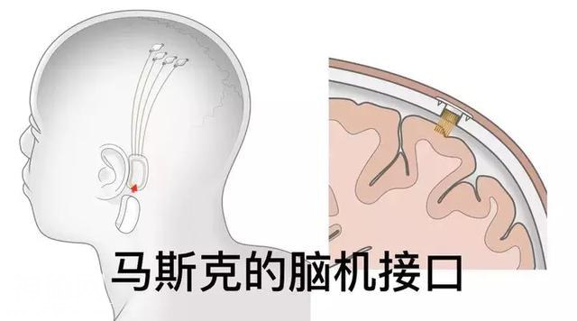 全网刷屏！美国突然宣布一事，始料未及！科幻片在现实上演-2.jpg
