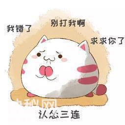 认怂表情包合集｜大哥我错了-4.jpg