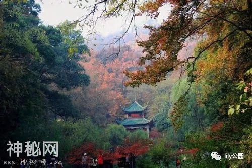 《湘A星球登阅计划》伙伴招募-3.jpg