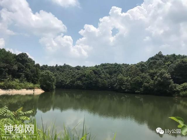 《湘A星球登阅计划》伙伴招募-8.jpg