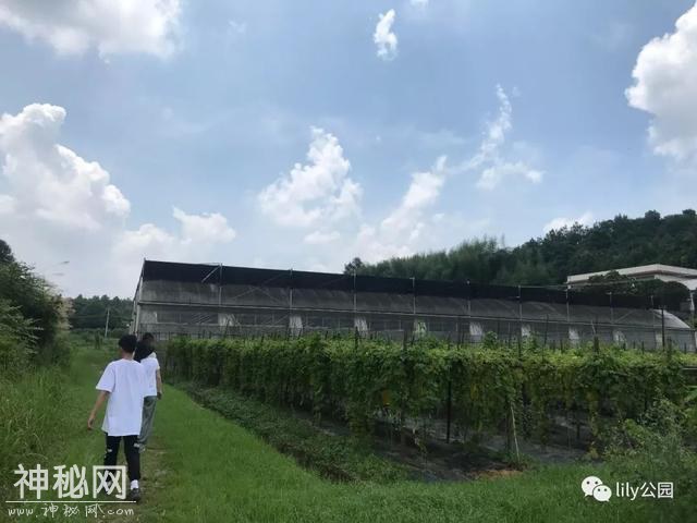 《湘A星球登阅计划》伙伴招募-9.jpg