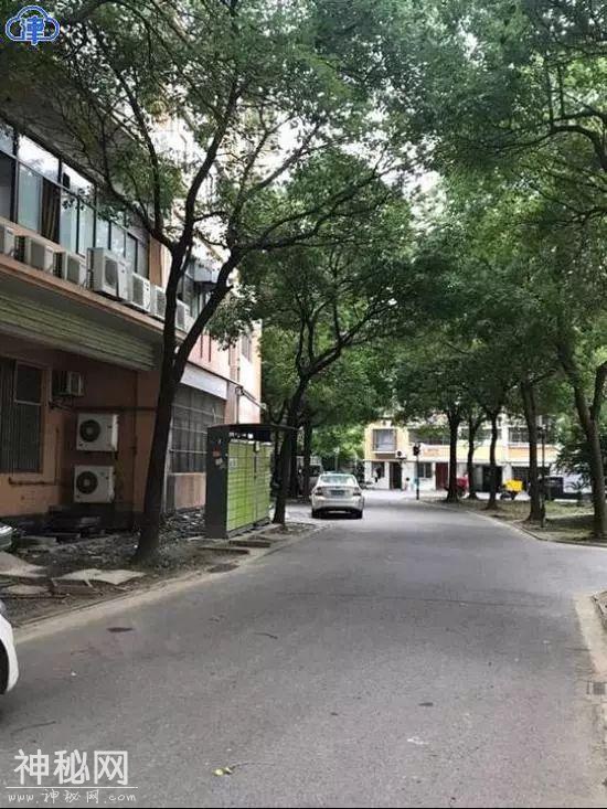 以拍戏为名，19岁女子疑遭拘禁杀害！小区杂货间里发现尸体-3.jpg