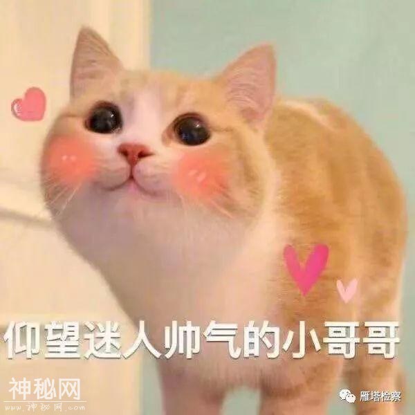 微信刚聊一小时互发红包考验信任，西安女孩连发9500元后发现……-2.jpg