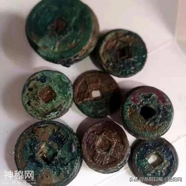平江疑现北宋古墓，村民荷锄疯狂寻宝挖古钱...-1.jpg