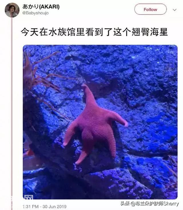 2019上半年最搞笑的朋友圈，看完笑出猪叫声哈哈哈哈哈哈哈-32.jpg
