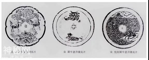 从动物身上看生命百转千折，每一个认真生活的人，都曾照亮时代-3.jpg