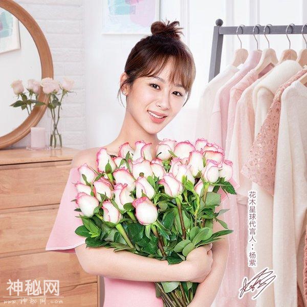 联合利华集团时尚家清品牌“花木星球”，天然无添加让妈妈更放心-1.jpg