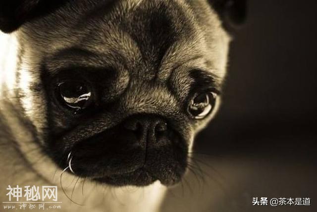 到底是鸡汤好？还是丧文好？是心理扭曲？还是自我调侃？-7.jpg