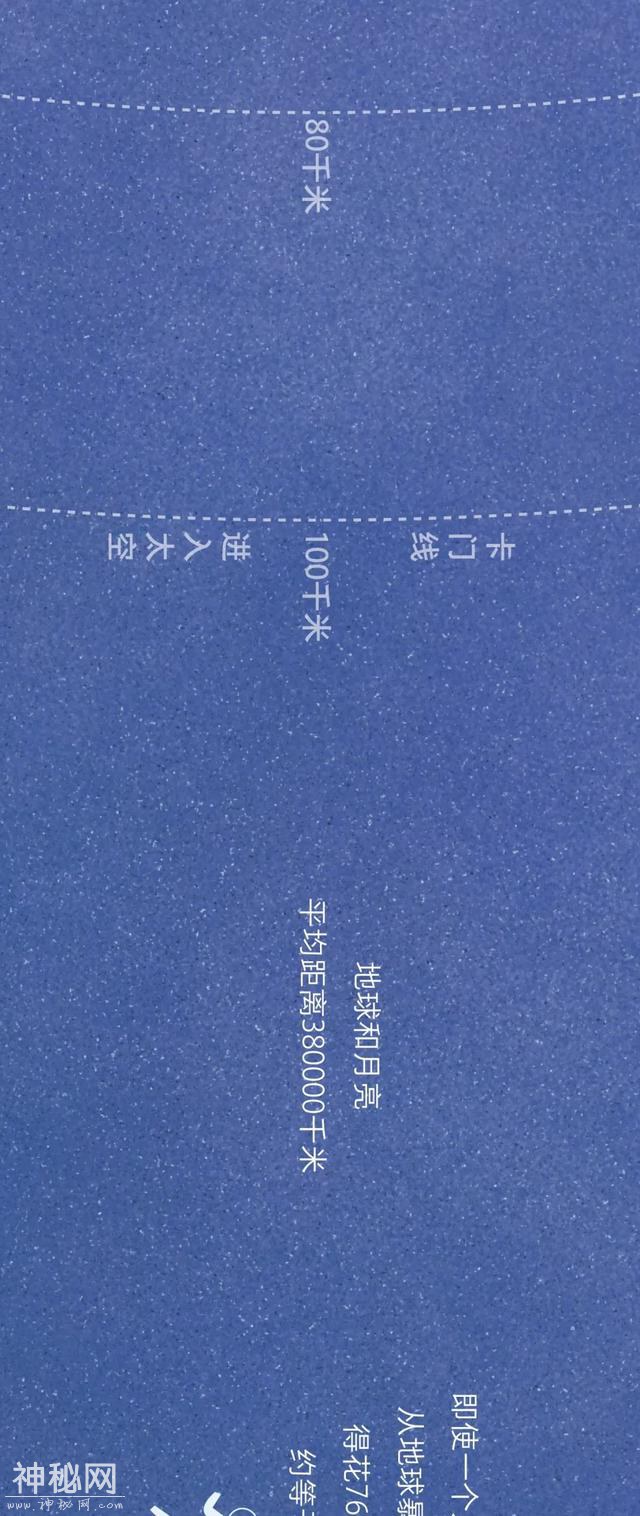 宇宙动物图鉴-4.jpg