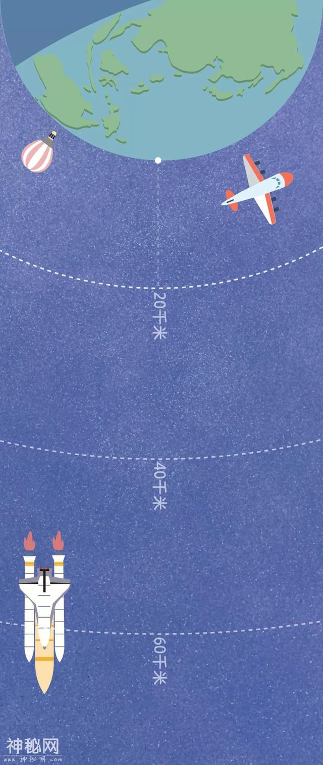 宇宙动物图鉴-3.jpg