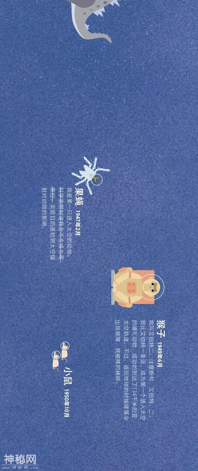 宇宙动物图鉴-8.jpg