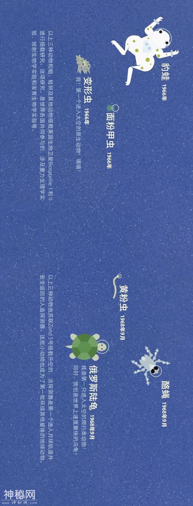 宇宙动物图鉴-11.jpg