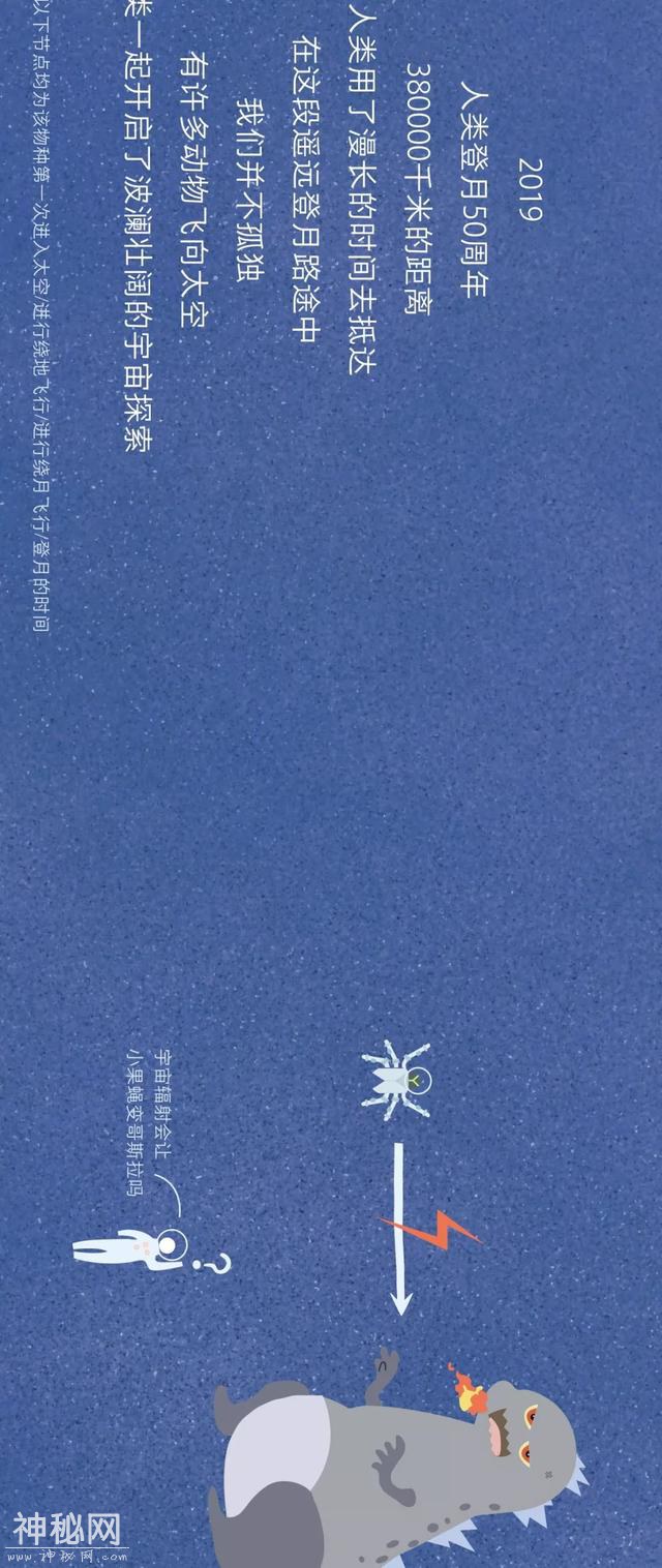 宇宙动物图鉴-7.jpg