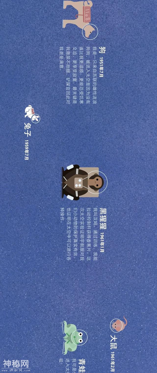 宇宙动物图鉴-9.jpg