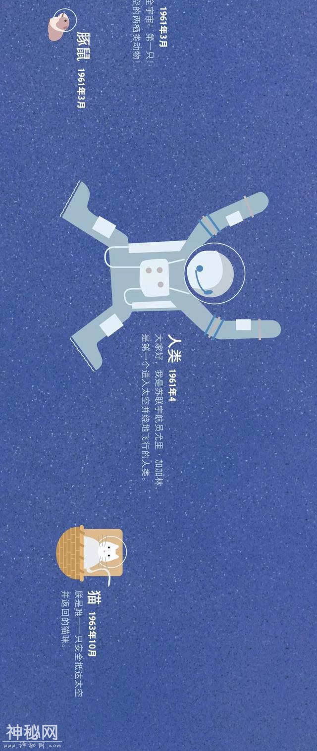 宇宙动物图鉴-10.jpg