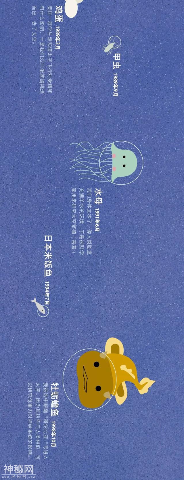 宇宙动物图鉴-14.jpg