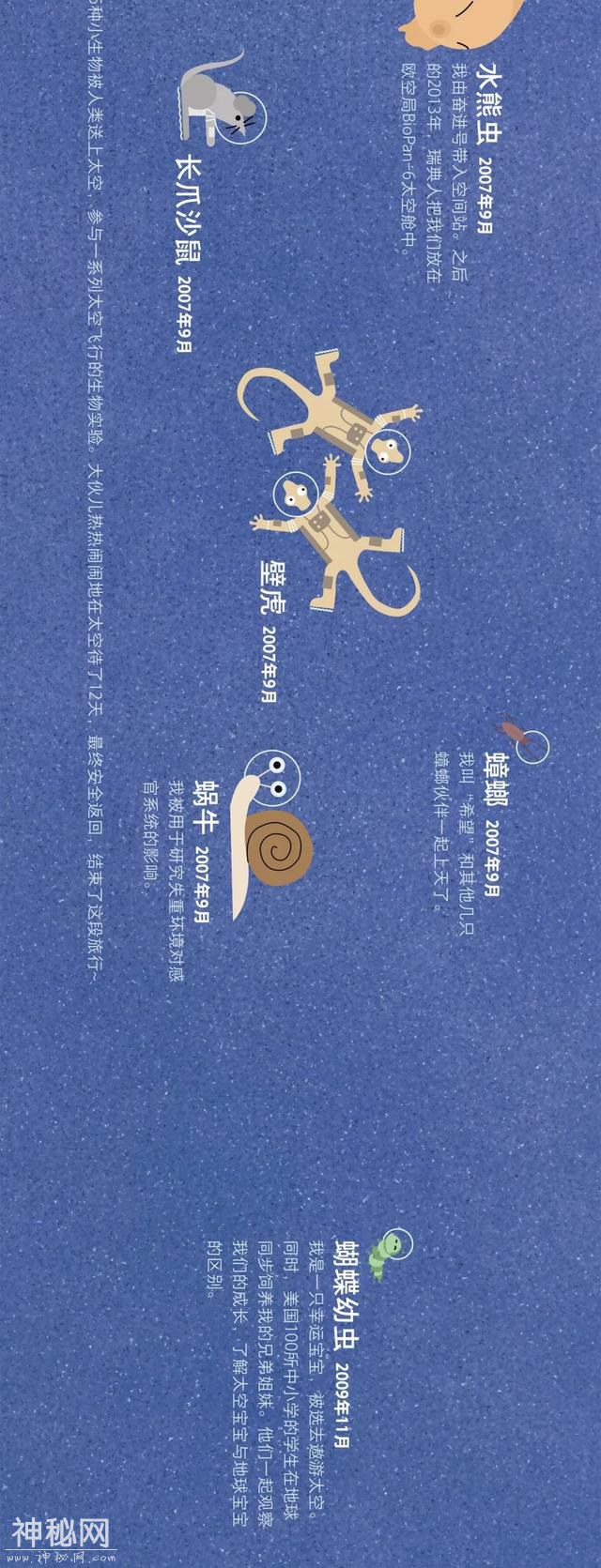 宇宙动物图鉴-16.jpg