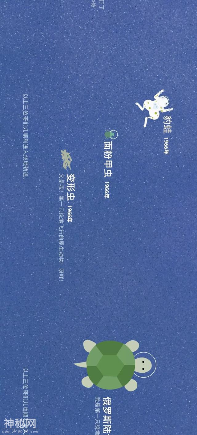 宇宙动物图鉴-20.jpg