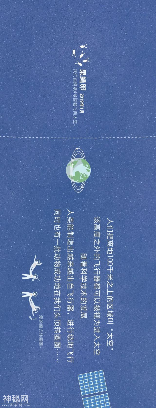 宇宙动物图鉴-17.jpg