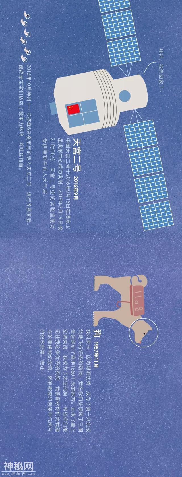 宇宙动物图鉴-18.jpg
