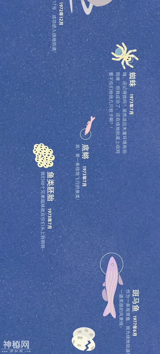 宇宙动物图鉴-22.jpg