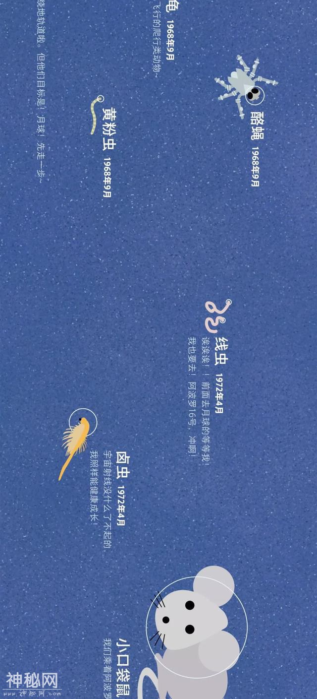 宇宙动物图鉴-21.jpg