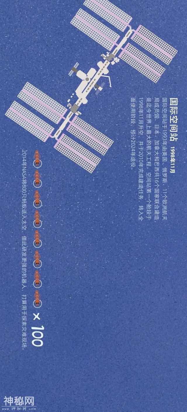 宇宙动物图鉴-26.jpg