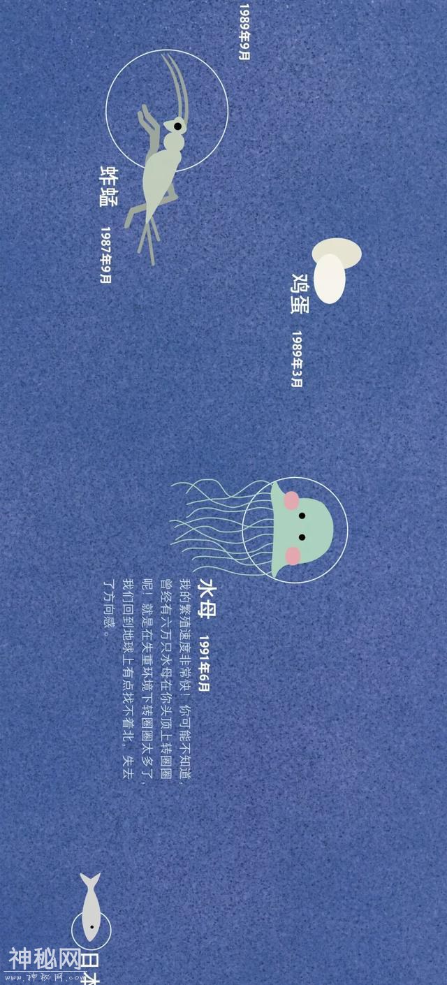 宇宙动物图鉴-24.jpg