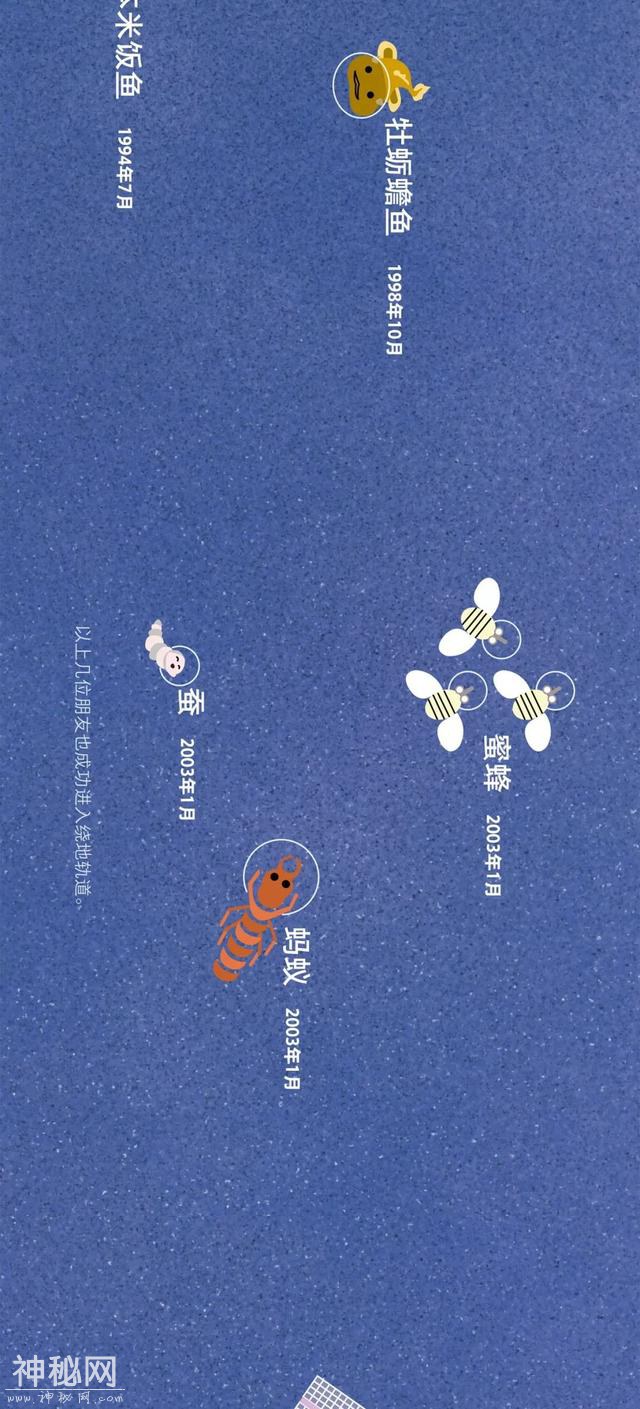 宇宙动物图鉴-25.jpg