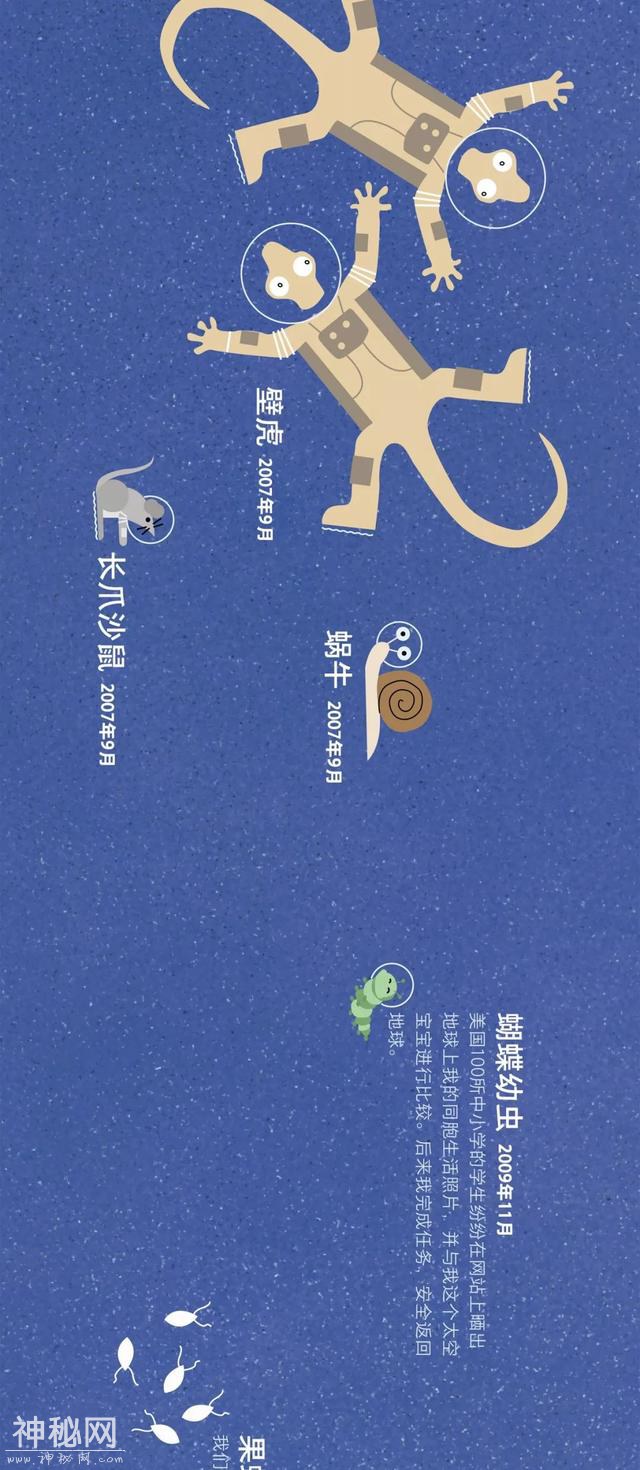 宇宙动物图鉴-28.jpg