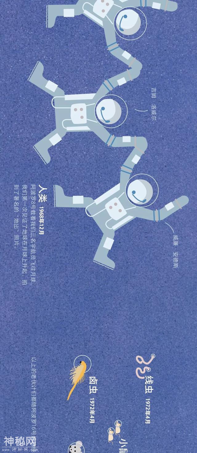 宇宙动物图鉴-31.jpg