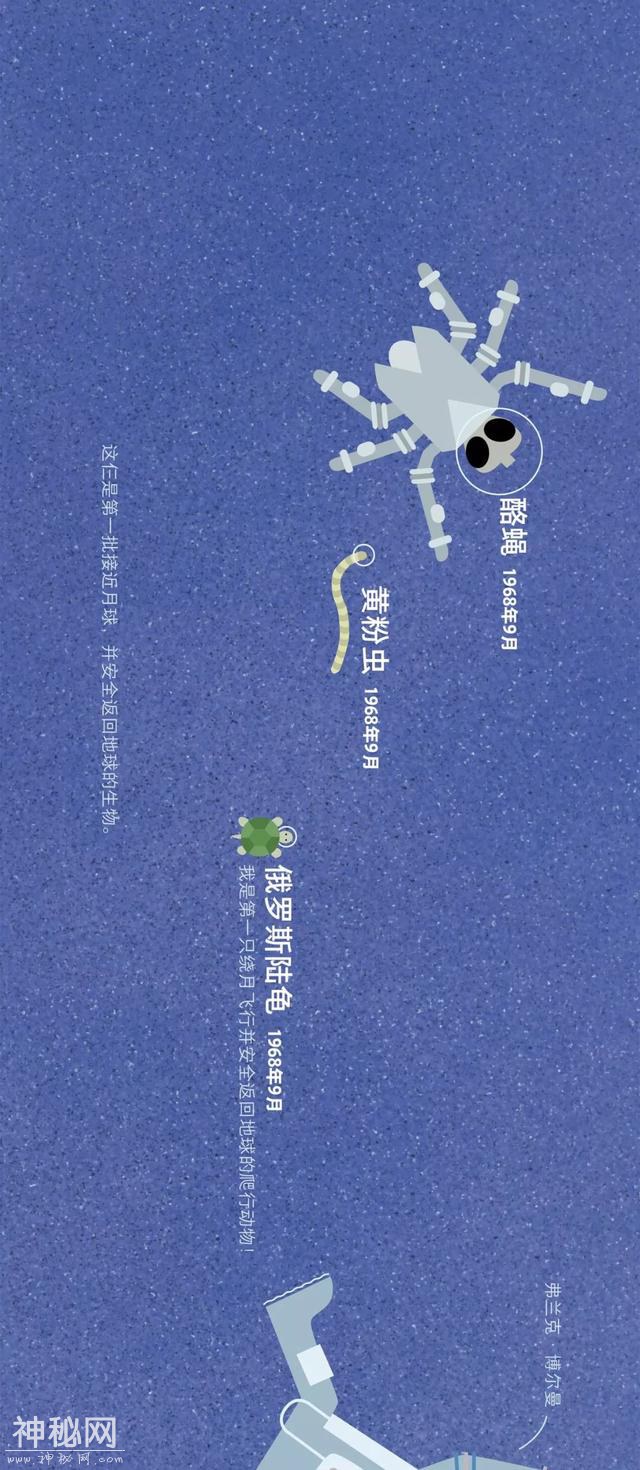 宇宙动物图鉴-30.jpg