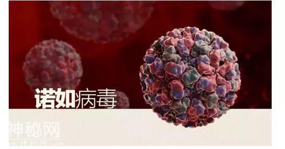 诺如病毒来了，请这样保护孩子！-1.jpg