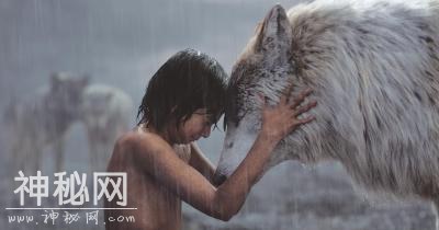 《狮子王》引发对科技与美学的思考-4.jpg