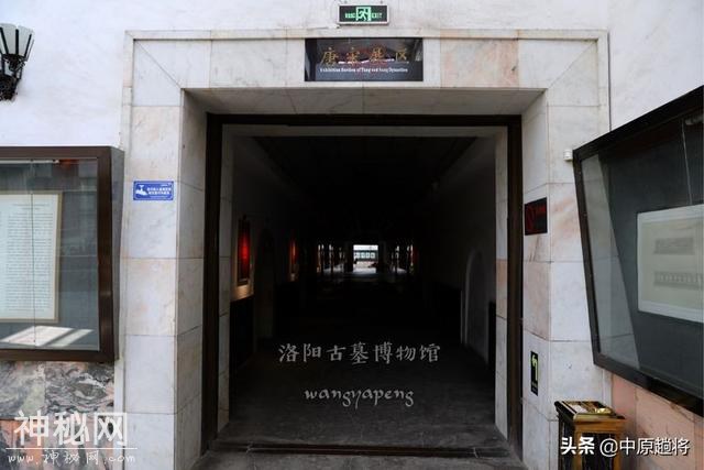 盗墓笔记都没有洛阳古墓博物馆精彩，带你去探探墓？-34.jpg