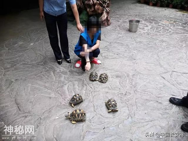 范围涉及大半个中国！警方破获野生动物大案-1.jpg