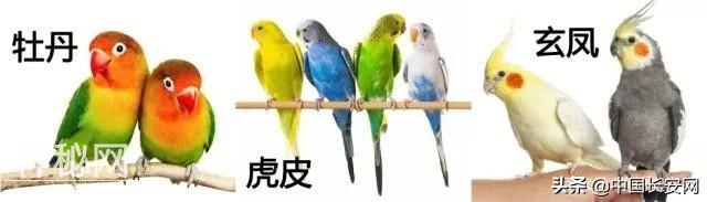 范围涉及大半个中国！警方破获野生动物大案-6.jpg