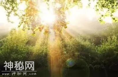 人的运气：有人说，运气就像一个独立的宇宙，你不知道它是好是坏-6.jpg