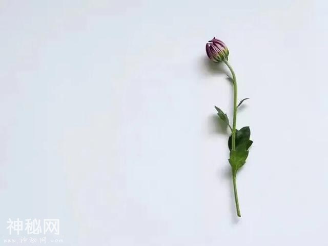人的运气：有人说，运气就像一个独立的宇宙，你不知道它是好是坏-3.jpg