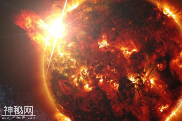 南极发现世界上最大的海怪遗骸，疑似“神兽玄武”，或是未知生物-4.jpg