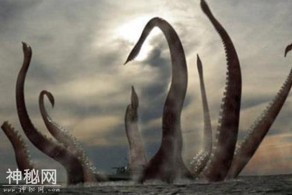 南极发现世界上最大的海怪遗骸，疑似“神兽玄武”，或是未知生物-5.jpg