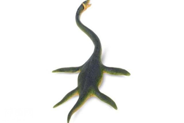 南极发现世界上最大的海怪遗骸，疑似“神兽玄武”，或是未知生物-2.jpg