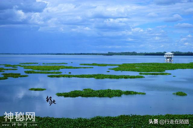 被警告的淡水湖：两大物种入侵50年，本土生物被灭60%-4.jpg