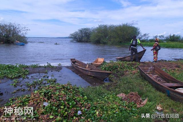 被警告的淡水湖：两大物种入侵50年，本土生物被灭60%-8.jpg