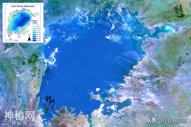 被警告的淡水湖：两大物种入侵50年，本土生物被灭60%-2.jpg