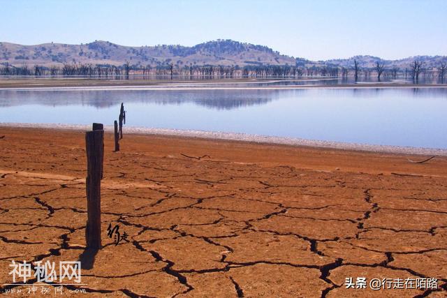 被警告的淡水湖：两大物种入侵50年，本土生物被灭60%-9.jpg