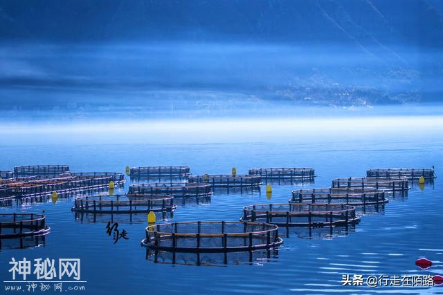 被警告的淡水湖：两大物种入侵50年，本土生物被灭60%-10.jpg