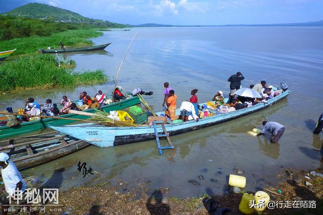 被警告的淡水湖：两大物种入侵50年，本土生物被灭60%-3.jpg